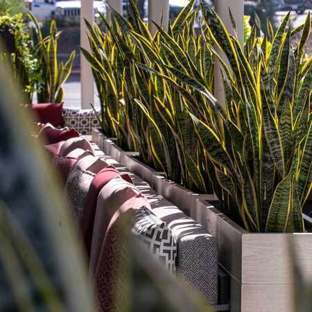 Parklet bench seating backed by planters that define the perimeter