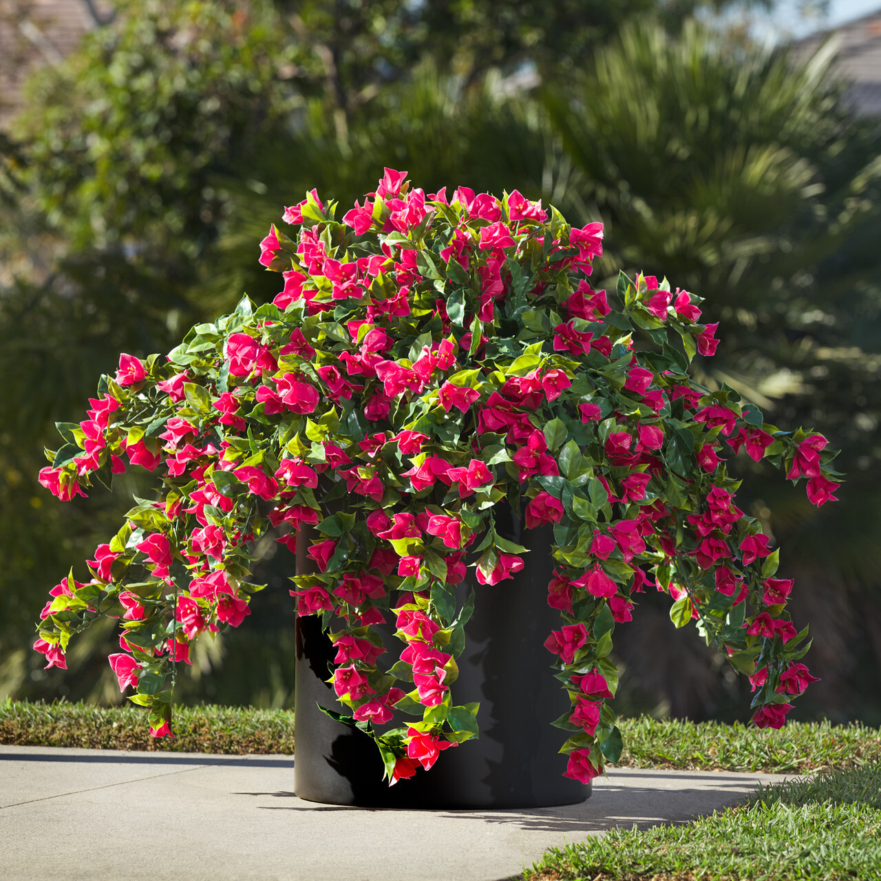 Colorful flowers in a planter