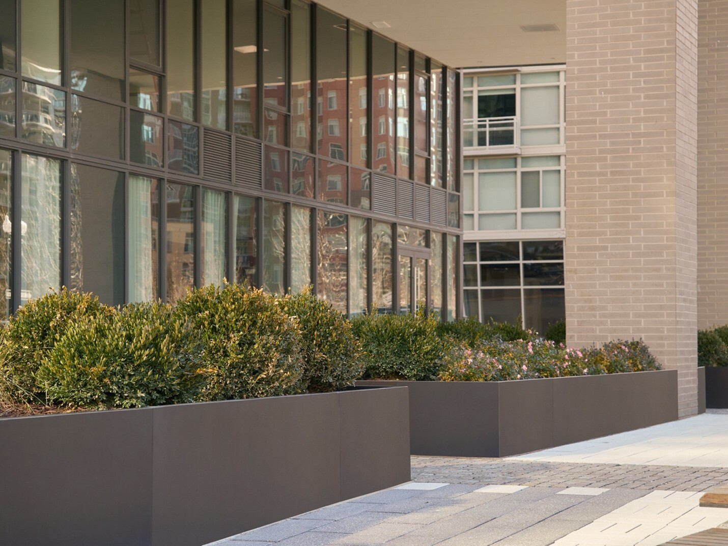 Two elongated planters with green bushes planted along side a commercial building