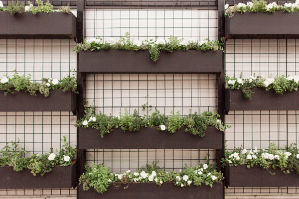 Wall planters with grid work on a beige wall