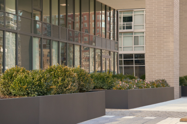 Glass facade office building with planters in front