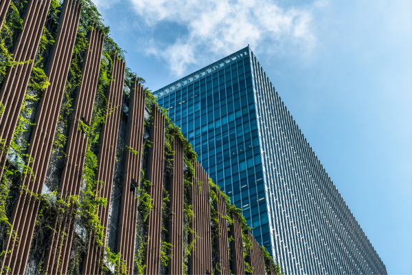 Trellis planter system on a downtown building
